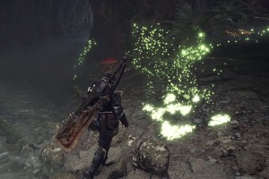 为什么怪兽猎人野生野生野生野生狂热地为环境付出了太大的努力，只是为了完全放弃怪物猎人的实际“狩猎”？