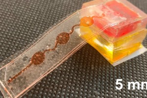 您想在VR？我既不会品尝鱼汤，但是这种电子舌头还是会这样做